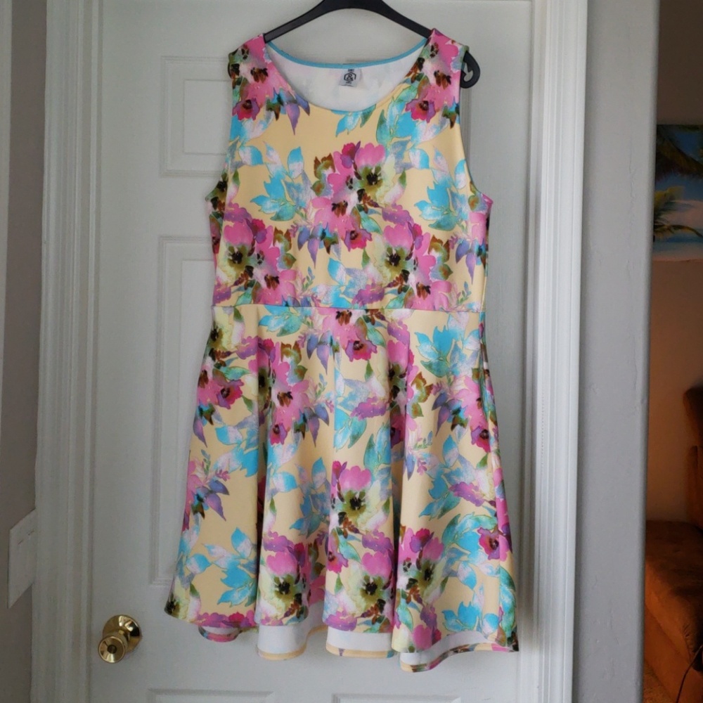 AGNES & DORA FISHER DRESS NWOT/3XL